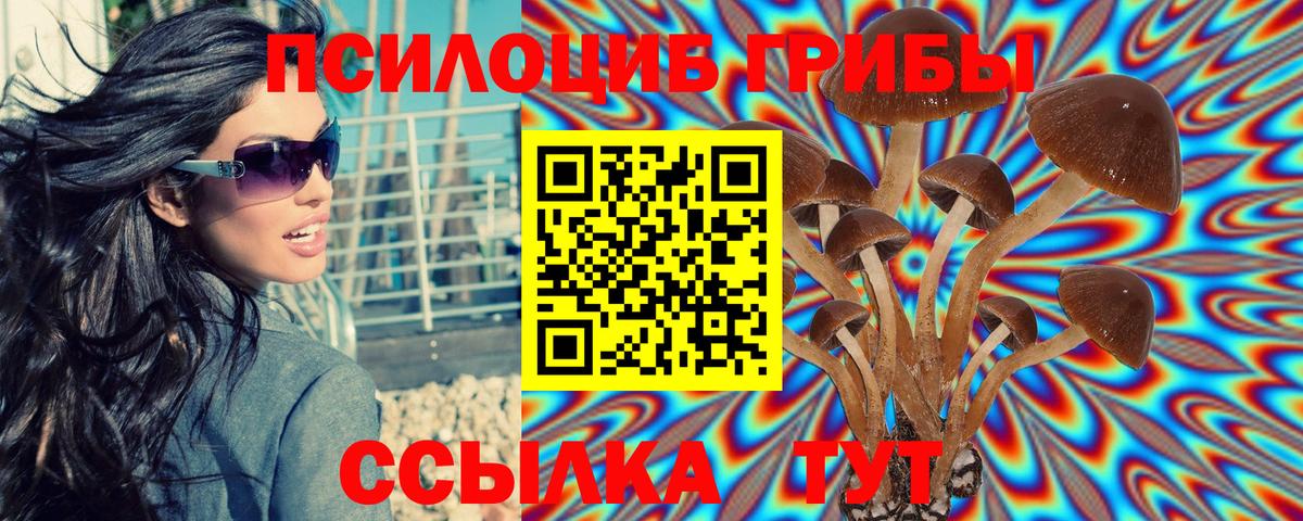 Уссурийск  Галлюциногенные грибы GOLDEN TEACHER  даркнет сайт  Вход с VPN 