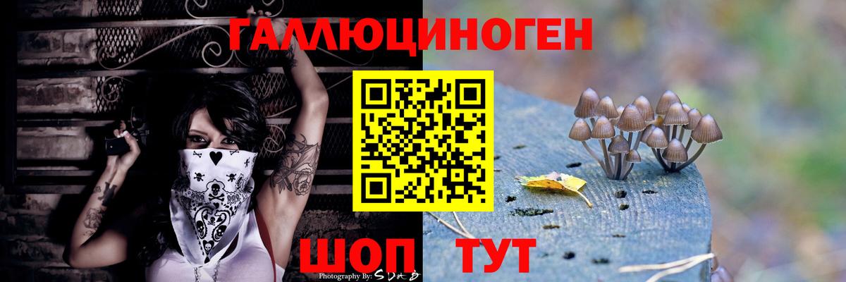 Псилоцибиновые грибы Psilocybine cubensis Уссурийск